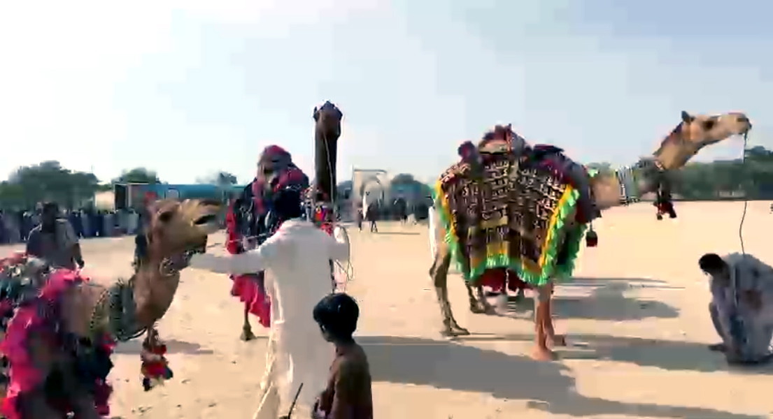 مٺي: ٿر اسپورٽس ميلو ٻئي ڏينهن به جاري