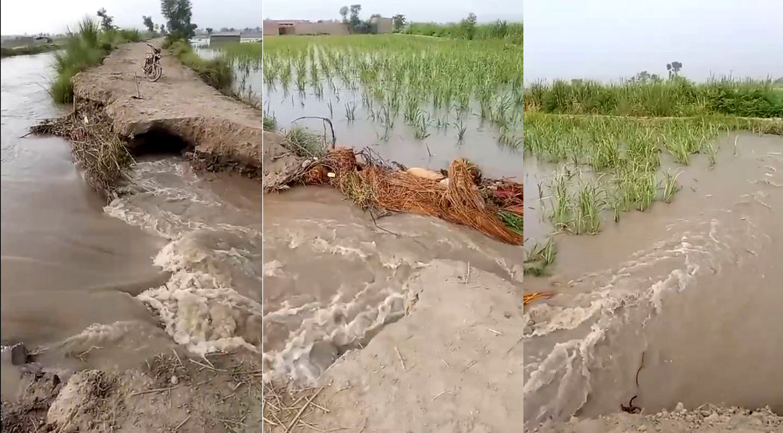 سرحد ويجهو ٻنڌ مائينر واهه کي 20 فوٽ گهارو پئجي ويو، فصل ۽ ڪيترائي گهر پاڻي هيٺ